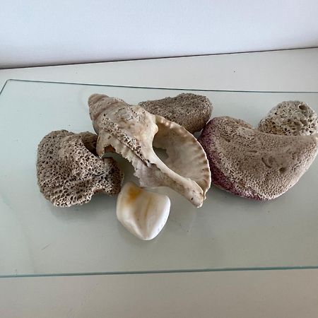 Mar De Fondo En Pedregalejo Apartman Málaga Kültér fotó